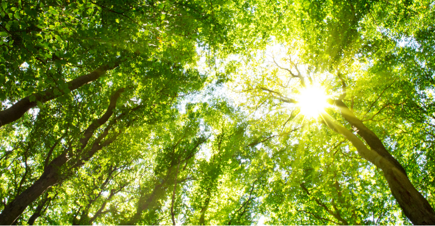 厨房衛生点検の実施