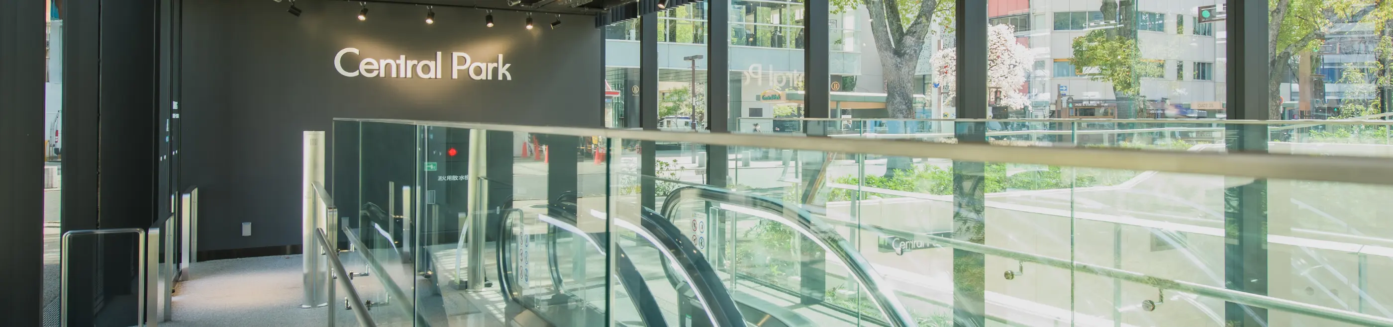 Central Park セントラルパーク